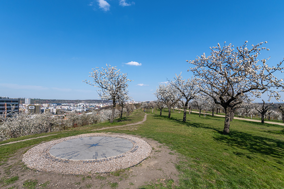 Tresnovka Hill